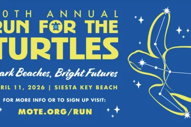Banner for Mote's 40 Annual Run for the Turtles.