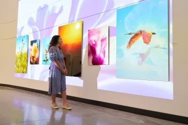 Thru My Eyes Gallery Exhibit