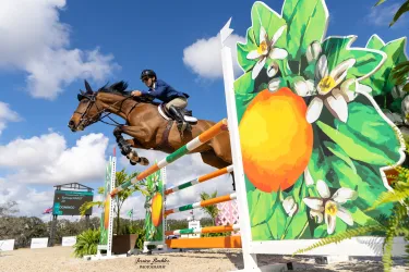 Show Jumping at TerraNova