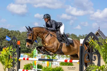 Show Jumping at TerraNova