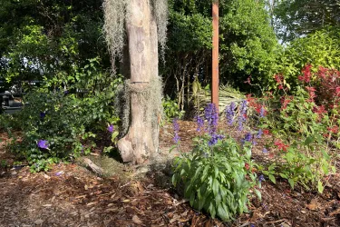 The Sarasota  Master Gardener Spring Plant Sale at Twin Lakes Park