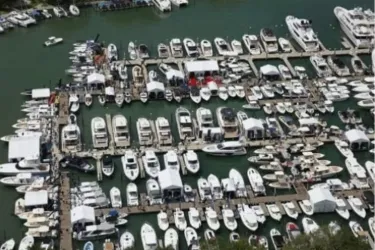 Aerial Shot of Boats at Marina Jack