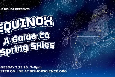 Stelliferous Equinox: Spring Skies