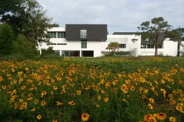 wildflowers bloom with the Elling Eide Center in the distance