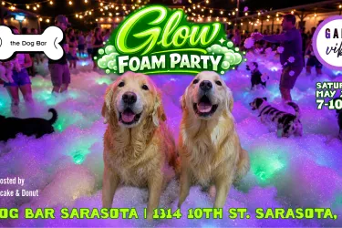 One of Sarasota’s most unique dog-friendly nightlife events featuring DJs, glow foam, cocktails, off-leash play, and music.