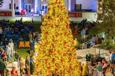 christmas tree