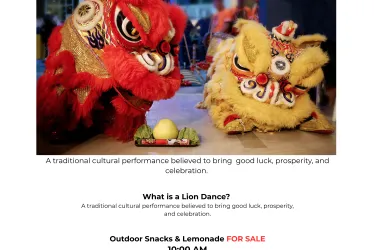 Lion Dance Show