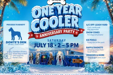 One of Sarasota’s most unique dog-friendly events.