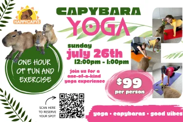 YOGA WITH 3 CAPYBARA