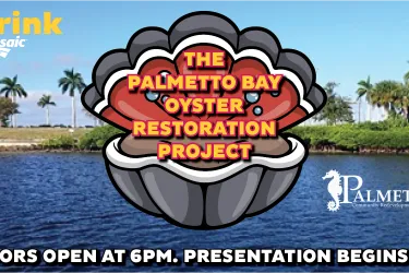 think + drink: The Palmetto Bay Oyster Restoration Project