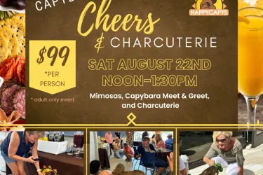 Experience Capybaras and have Mimosas w/ Charcuterie