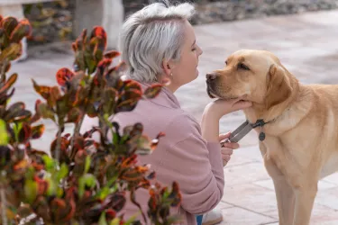 A young woman with light blond hair interacts with a yellow Labrador retriever.