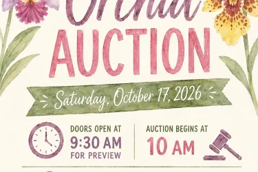 Orchid auction flyer