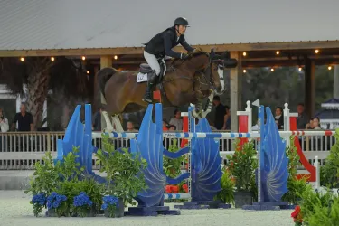 Horse jumping big jump in front of big crowd