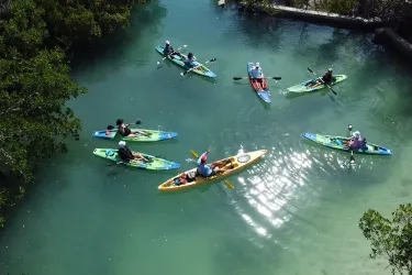Sarasota Kayak Rentals