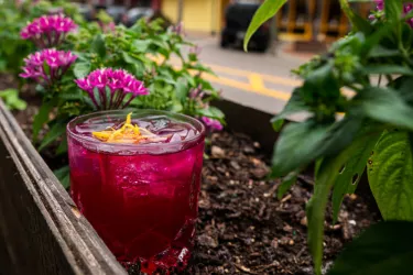 Happy Hour at The Lounge & element steak. seafood. pasta. Happy Hour at The Lounge & element steak. seafood. pasta. Photo