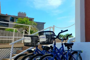Free Delivery on Siesta Key Free Delivery on Siesta Key Photo