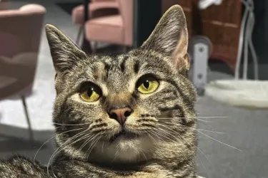 Group Discount (6+) Photo