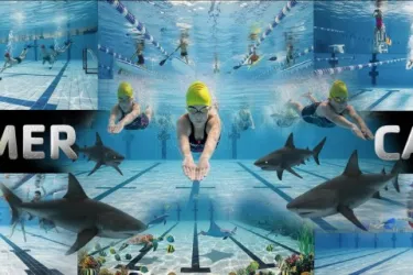 Sarasota Sharks Summer Camps Photo