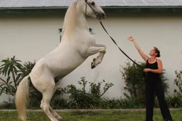 Myakka Barn Crop Photo