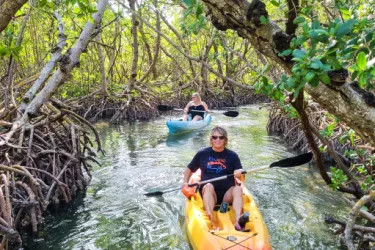 Kayaking at the Lido Mangrove Tunnels - A beautiful and easy paddle through the mangrove tunnels with SURFIT USA. Photo