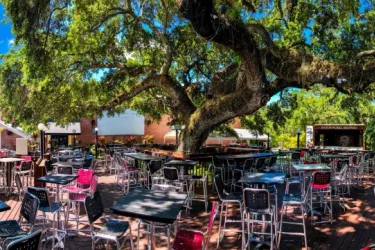 Beer Garden - Florida's largest beer Garden. Photo