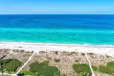 Where Long Term Relationships Begin. - #1 Rated! Award Winning. Welcome to Ascendia Group on beautiful Siesta Key in Sarasota, Florida! 
Specializing in short and long term rentals, real estate, an... Photo