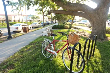 Centennial Park Photo
