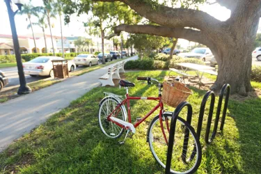 Centennial Park Photo