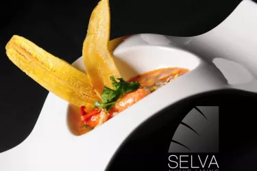 Savor 2023 Photo