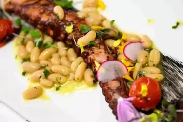 Savor 2023 Photo