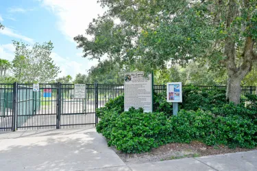 Canine Dog Park Photo