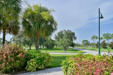 City Center Front Green Photo