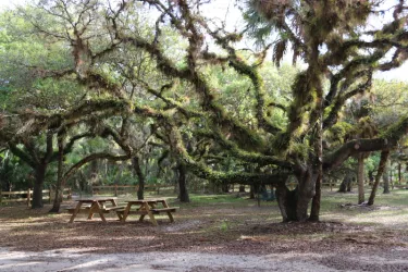 Oaks Park Photo