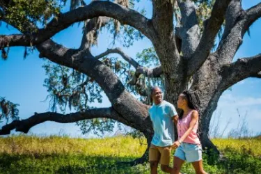 Walking Couple - A couple walking through Myakka River State Park Photo