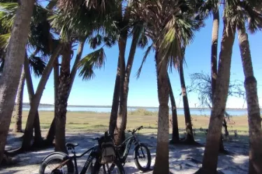 SRQ Vortex bikes Photo