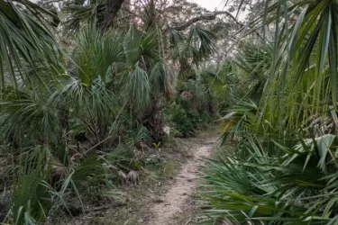 SRQ Vortex path Photo