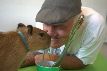 Happy Capys Yoga Photo