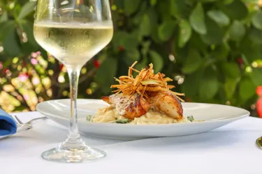 Savor Sarasota 2026 #1 Photo