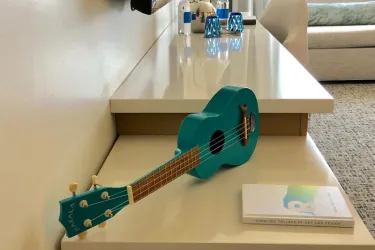 Ukulele - Guests at the Art Ovation Hotel will find ukulele's in their room. Photo