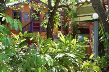 Quiet, historic and relaxing oasis in downtown Sarasota - Ginger Garden Photo