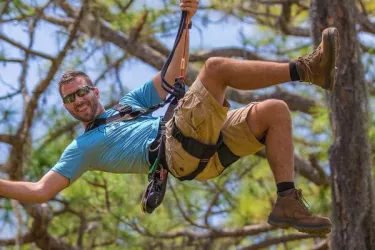 Fun In The Trees Photo