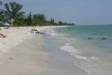 1169_640x481.jpg Photo