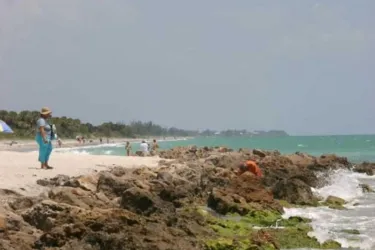 1176_640x481.jpg Photo