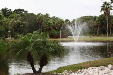 1254_640x481.jpg Photo