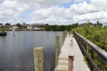 1316_721x480.jpg Photo