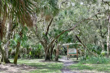 Myakkahatchee Environmental Park Photo
