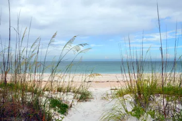 North Lido Beach Park - The park contains an upland area with 49 acres of Australian pine woods, grassy savannahs and walking trails, plus 22.5 acres of beach and mangroves. Bird nesting areas on t... Photo