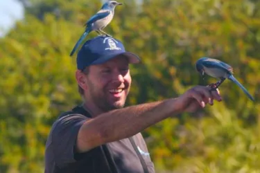 1228_640x481.jpg Photo