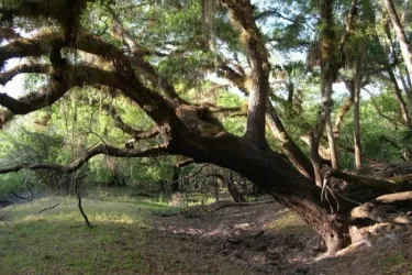 1213_640x480.jpg Photo